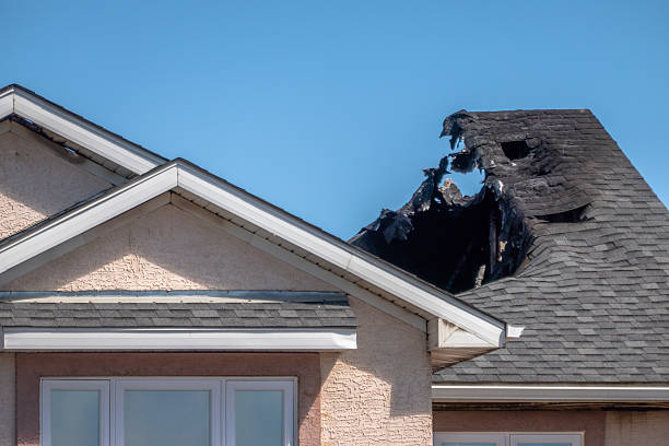 Top rated local Fire Damage Removal specialists in Elkins Park, PA